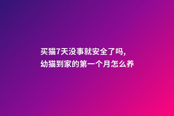 买猫7天没事就安全了吗,幼猫到家的第一个月怎么养-第1张-观点-玄机派