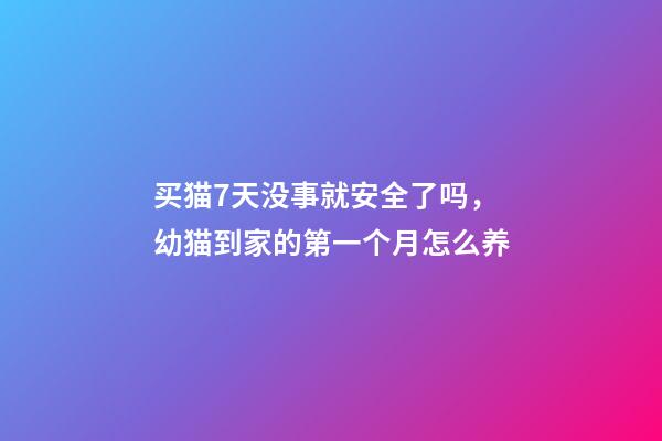 买猫7天没事就安全了吗，幼猫到家的第一个月怎么养-第1张-观点-玄机派