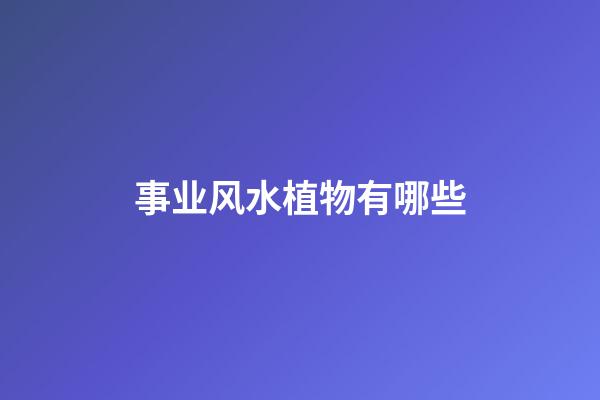 事业风水植物有哪些