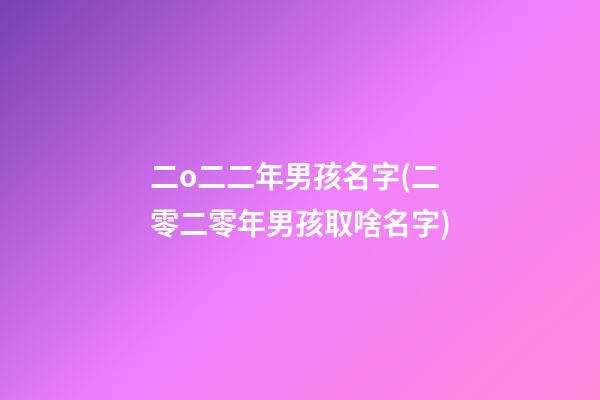 二o二二年男孩名字(二零二零年男孩取啥名字)