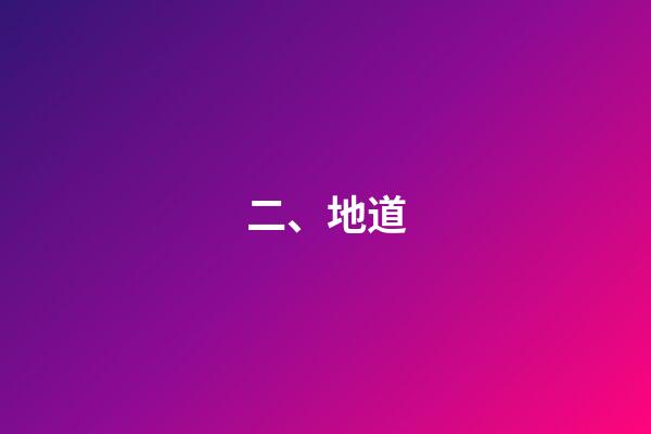 二、地道
