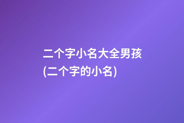 二个字小名大全男孩(二个字的小名)