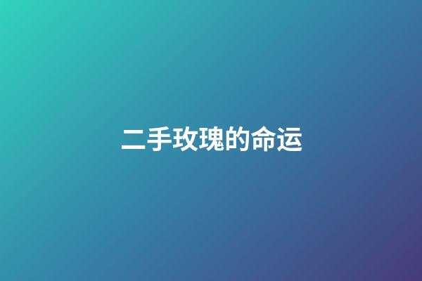 二手玫瑰的命运(人生要迎风破浪，直面困难)-第1张-观点-玄机派