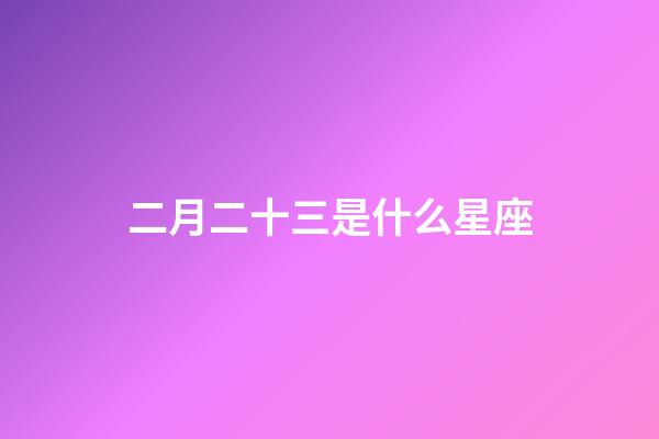 二月二十三是什么星座（星座是按阴历还是阳历）-第1张-星座运势-玄机派