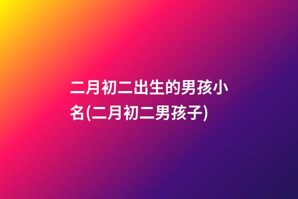 二月初二出生的男孩小名(二月初二男孩子)