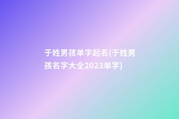 于姓男孩单字起名(于姓男孩名字大全2023单字)