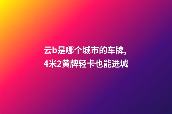 云b是哪个城市的车牌,4米2黄牌轻卡也能进城-第1张-观点-玄机派