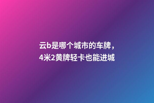 云b是哪个城市的车牌，4米2黄牌轻卡也能进城-第1张-观点-玄机派