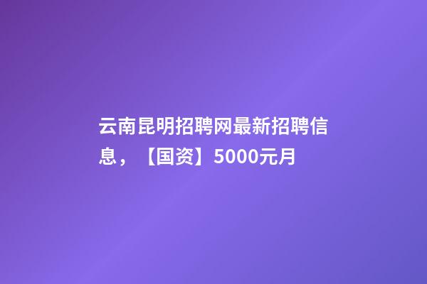 云南昆明招聘网最新招聘信息，【国资】5000元月-第1张-观点-玄机派