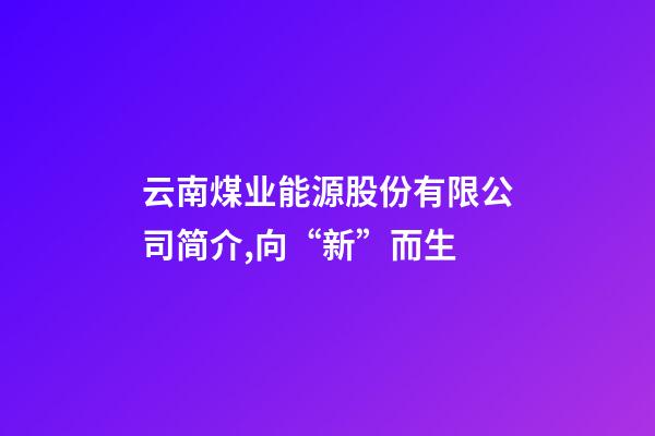 云南煤业能源股份有限公司简介,向“新”而生-第1张-观点-玄机派