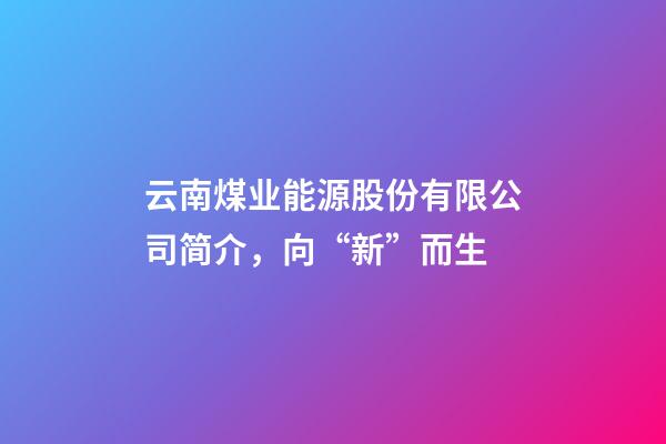 云南煤业能源股份有限公司简介，向“新”而生-第1张-观点-玄机派