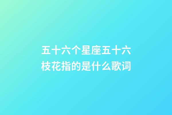 五十六个星座五十六枝花指的是什么歌词