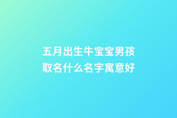 五月出生牛宝宝男孩取名什么名字寓意好