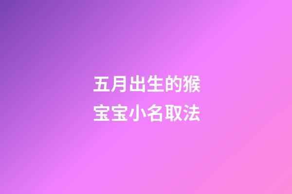 五月出生的猴宝宝小名取法