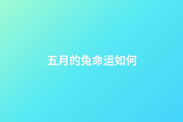 五月的兔命运如何(2022年五月份:狮子座整体运势详细解析,好事发生以及注意事项)-第1张-观点-玄机派