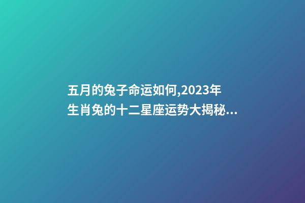 五月的兔子命运如何,2023年生肖兔的十二星座运势大揭秘!看看你的运势如何-第1张-观点-玄机派