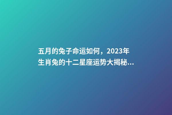 五月的兔子命运如何，2023年生肖兔的十二星座运势大揭秘!看看你的运势如何-第1张-观点-玄机派
