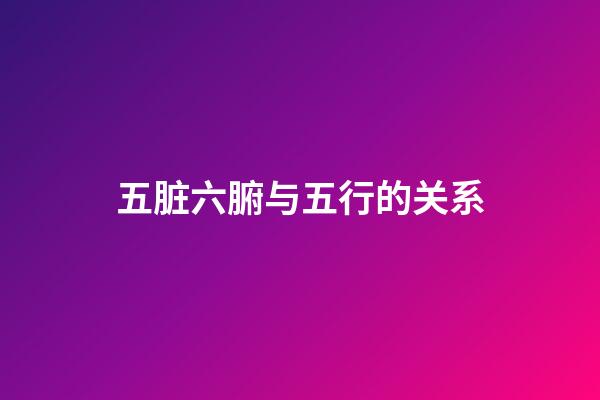 五脏六腑与五行的关系