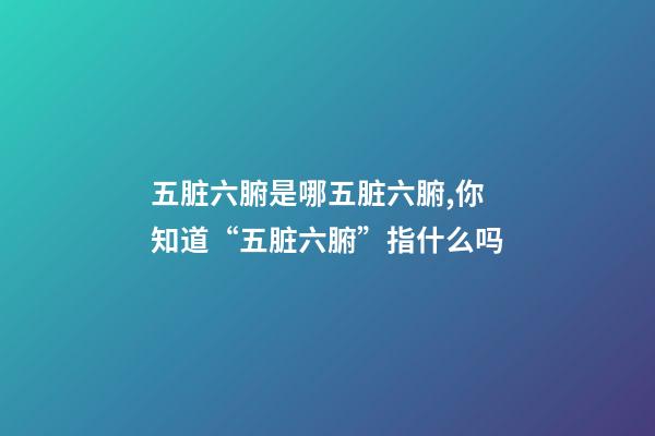 五脏六腑是哪五脏六腑,你知道“五脏六腑”指什么吗-第1张-观点-玄机派