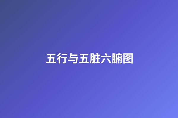 五行与五脏六腑图