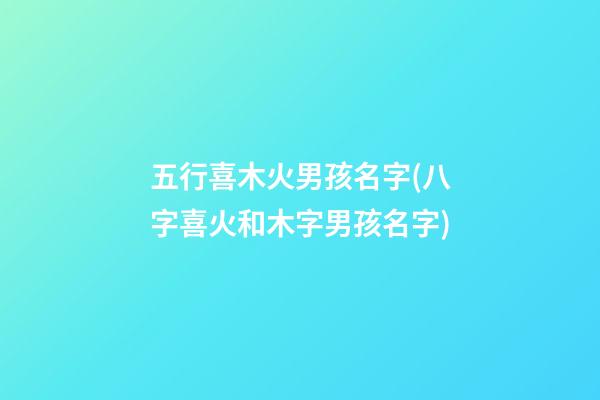 五行喜木火男孩名字(八字喜火和木字男孩名字)