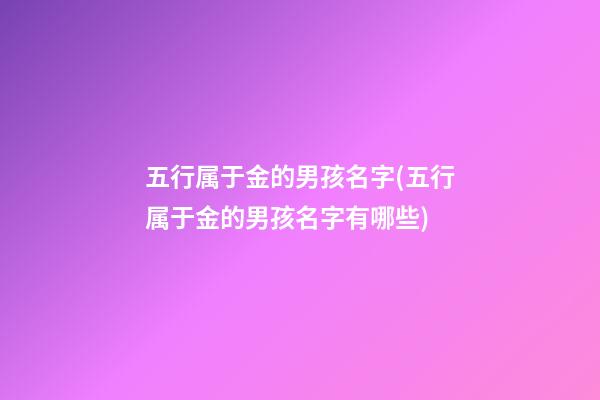 五行属于金的男孩名字(五行属于金的男孩名字有哪些)