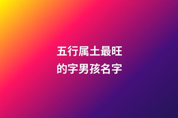 五行属土最旺的字男孩名字(五行属土最吉利男孩的字)-第1张-男孩起名-玄机派