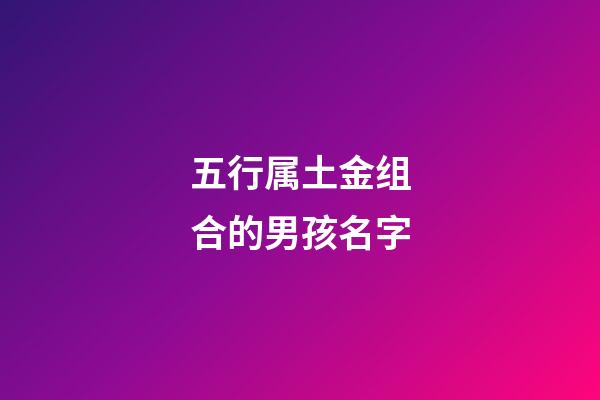 五行属土金组合的男孩名字(五行土金组合的男孩名字大全)-第1张-男孩起名-玄机派