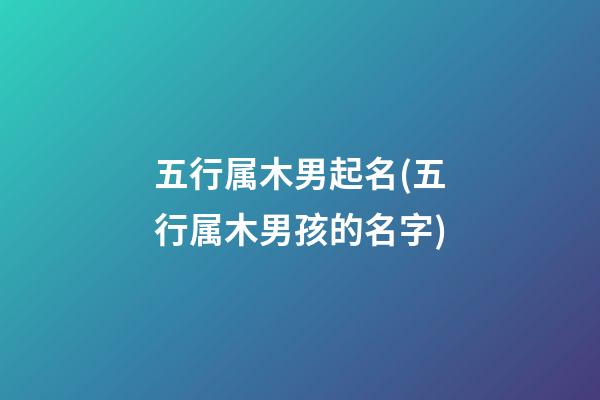 五行属木男起名(五行属木男孩的名字)