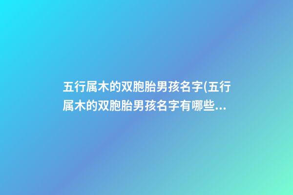 五行属木的双胞胎男孩名字(五行属木的双胞胎男孩名字有哪些)