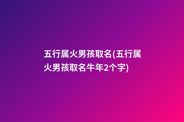 五行属火男孩取名(五行属火男孩取名牛年2个字)