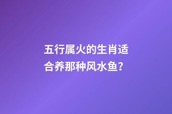 五行属火的生肖适合养那种风水鱼？