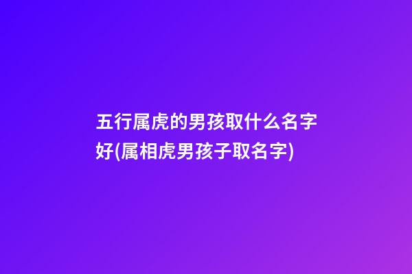 五行属虎的男孩取什么名字好(属相虎男孩子取名字)