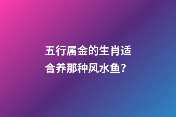 五行属金的生肖适合养那种风水鱼？