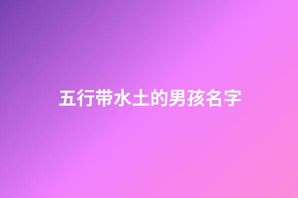 五行带水土的男孩名字(五行带水土的男孩名字有哪些)