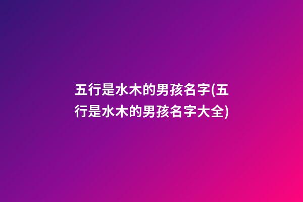 五行是水木的男孩名字(五行是水木的男孩名字大全)