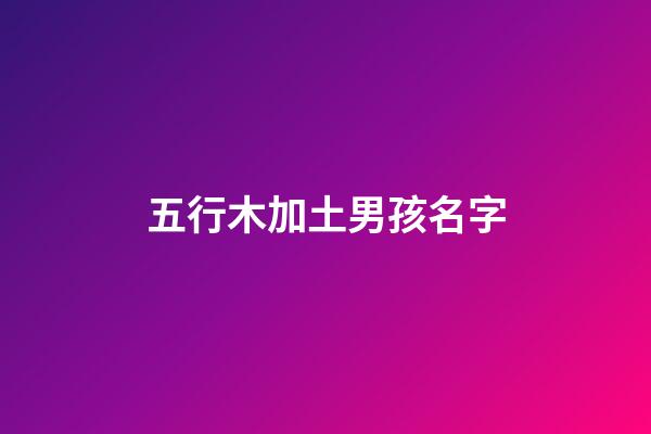 五行木加土男孩名字(五行木加土男孩名字怎么取)-第1张-男孩起名-玄机派