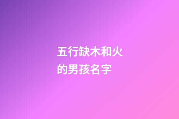 五行缺木和火的男孩名字(五行缺木火的男孩名字属虎怎么取)-第1张-男孩起名-玄机派