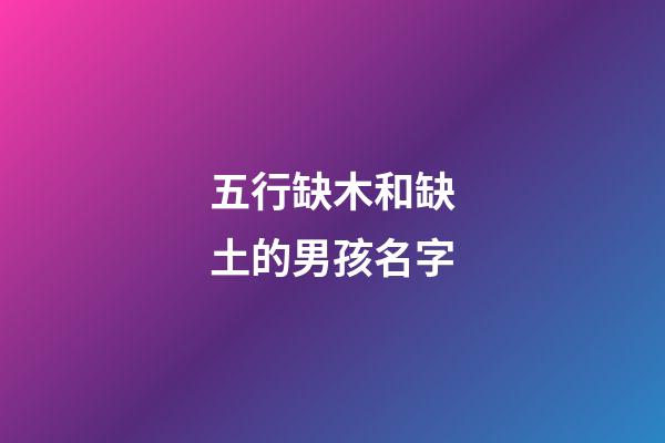 五行缺木和缺土的男孩名字(五行缺木和缺土的男孩名字一样吗)-第1张-男孩起名-玄机派