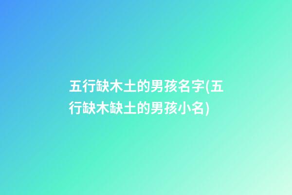 五行缺木土的男孩名字(五行缺木缺土的男孩小名)