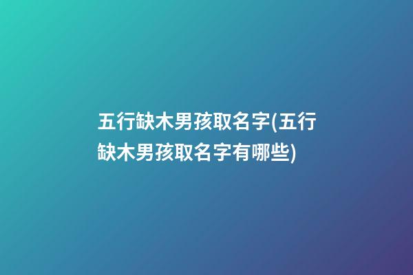 五行缺木男孩取名字(五行缺木男孩取名字有哪些)