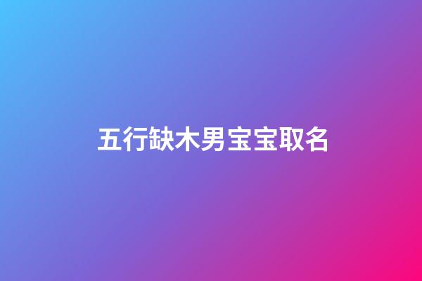 五行缺木男宝宝取名(五行缺木的男宝吉祥字)-第1张-男孩起名-玄机派