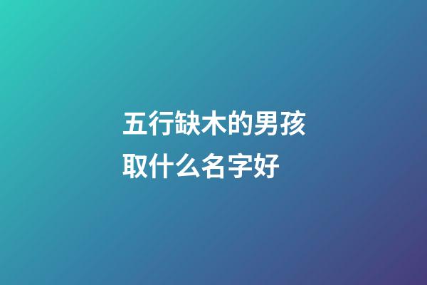 五行缺木的男孩取什么名字好