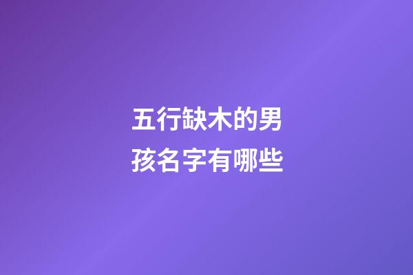五行缺木的男孩名字有哪些(五行缺木的男孩名字的字)-第1张-男孩起名-玄机派