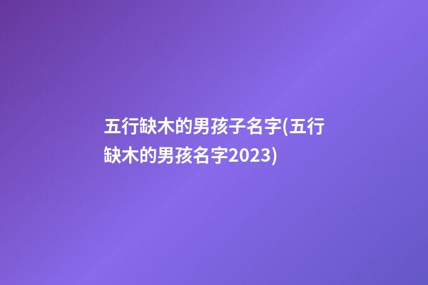 五行缺木的男孩子名字(五行缺木的男孩名字2023)