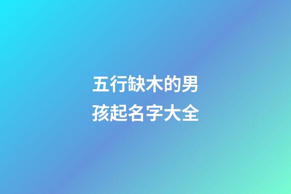 五行缺木的男孩起名字大全