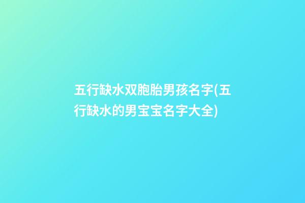 五行缺水双胞胎男孩名字(五行缺水的男宝宝名字大全)