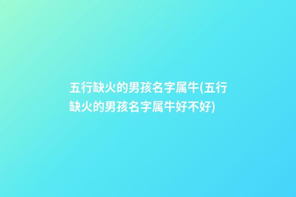 五行缺火的男孩名字属牛(五行缺火的男孩名字属牛好不好)