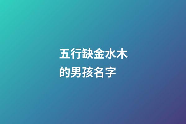 五行缺金水木的男孩名字(缺金木水的男孩名字大全集)-第1张-男孩起名-玄机派