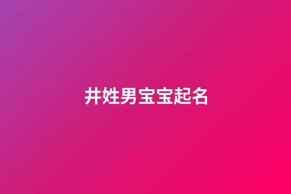 井姓男宝宝起名